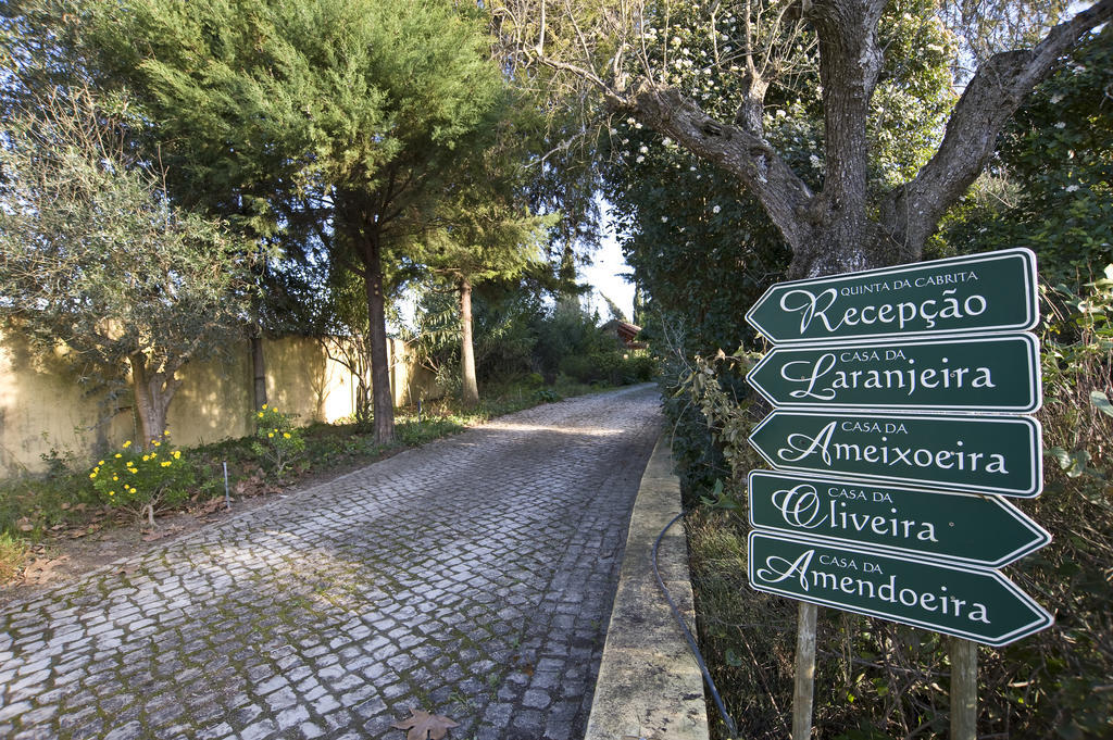 Willa Quinta Da Cabrita Santarém Zewnętrze zdjęcie